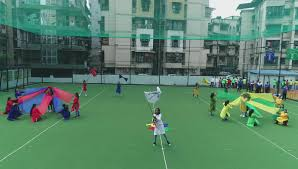 About Royal International School